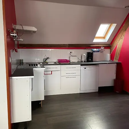 Roses Des Dunes * Fort-Mahon-Plage