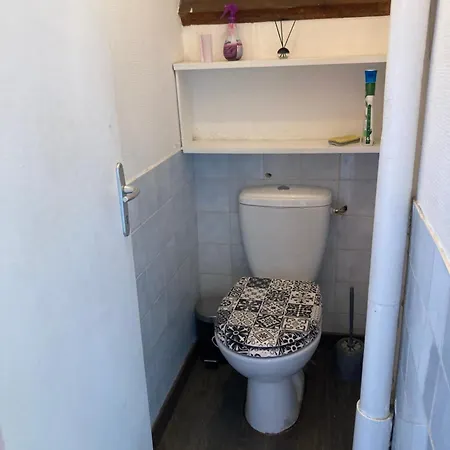 Roses Des Dunes * Fort-Mahon-Plage