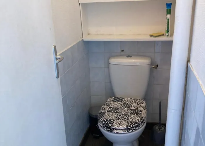 Roses Des Dunes * Fort-Mahon-Plage